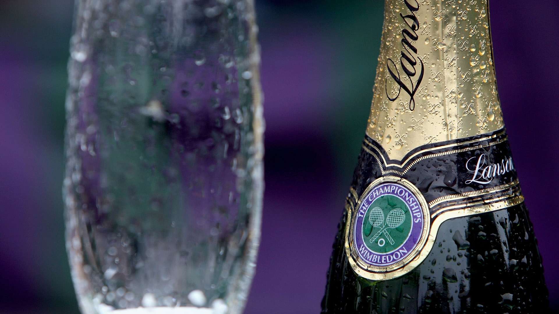 字费看起来 字费看起来