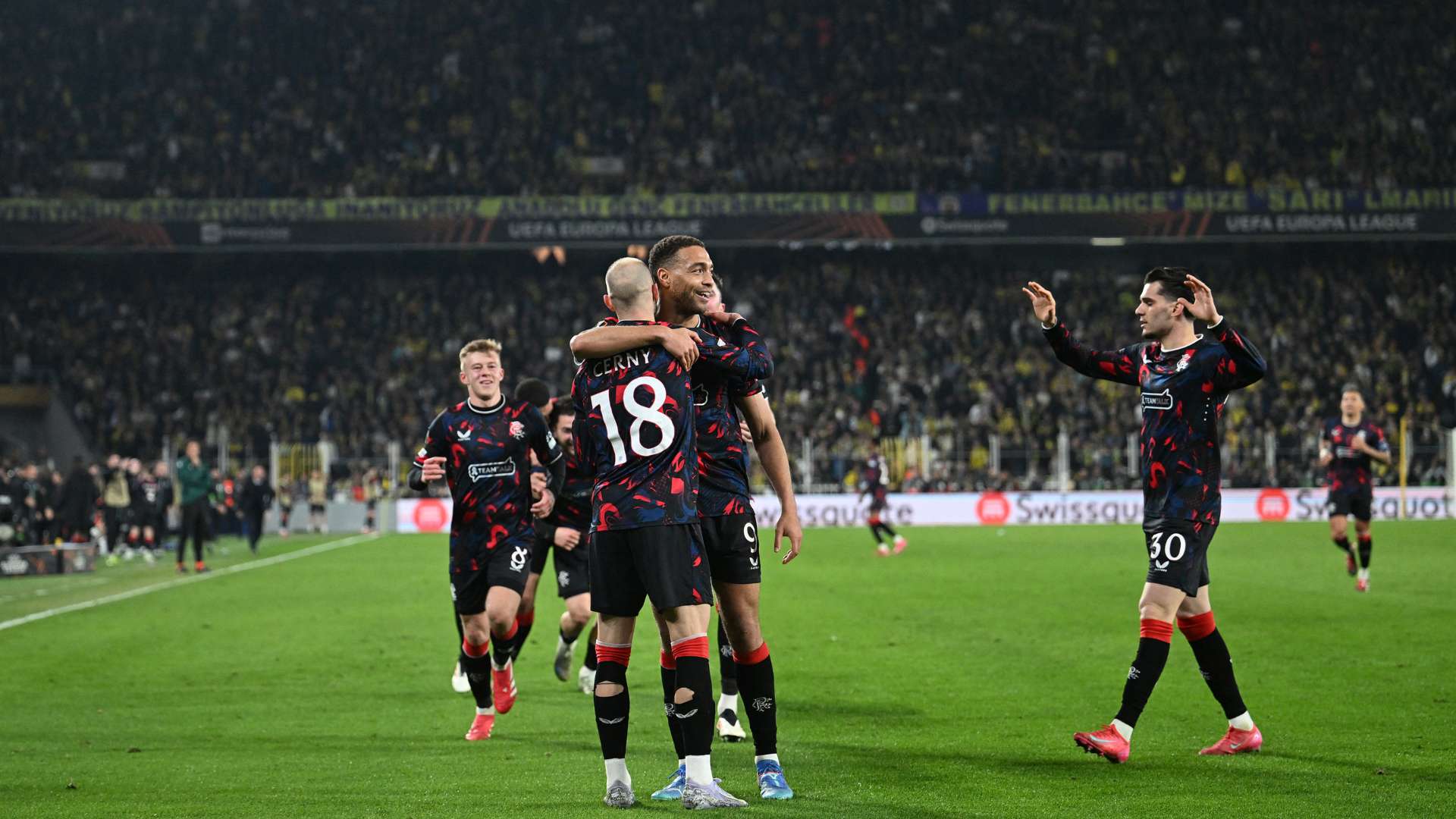 生涯延续 生涯延续